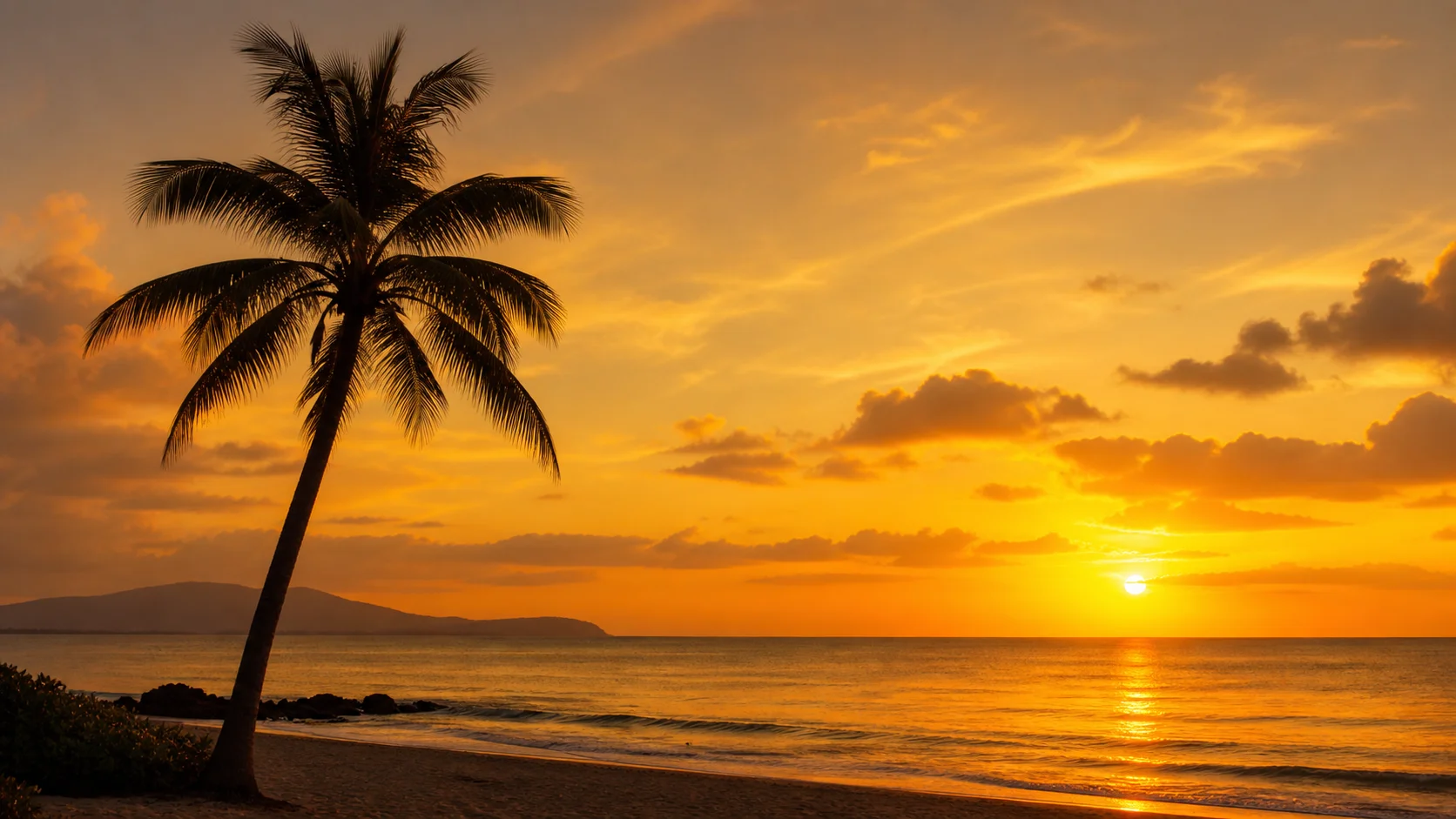 Spiritual Meanings of Palm Tree: Symbolism, History, and USA Meaning