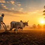 Spiritual Meanings of Ploughing Explained