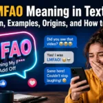 LMFAO Meaning in Text