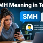 SMH Meaning in Text