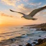 Spiritual Meanings Of Seeing A Seagull